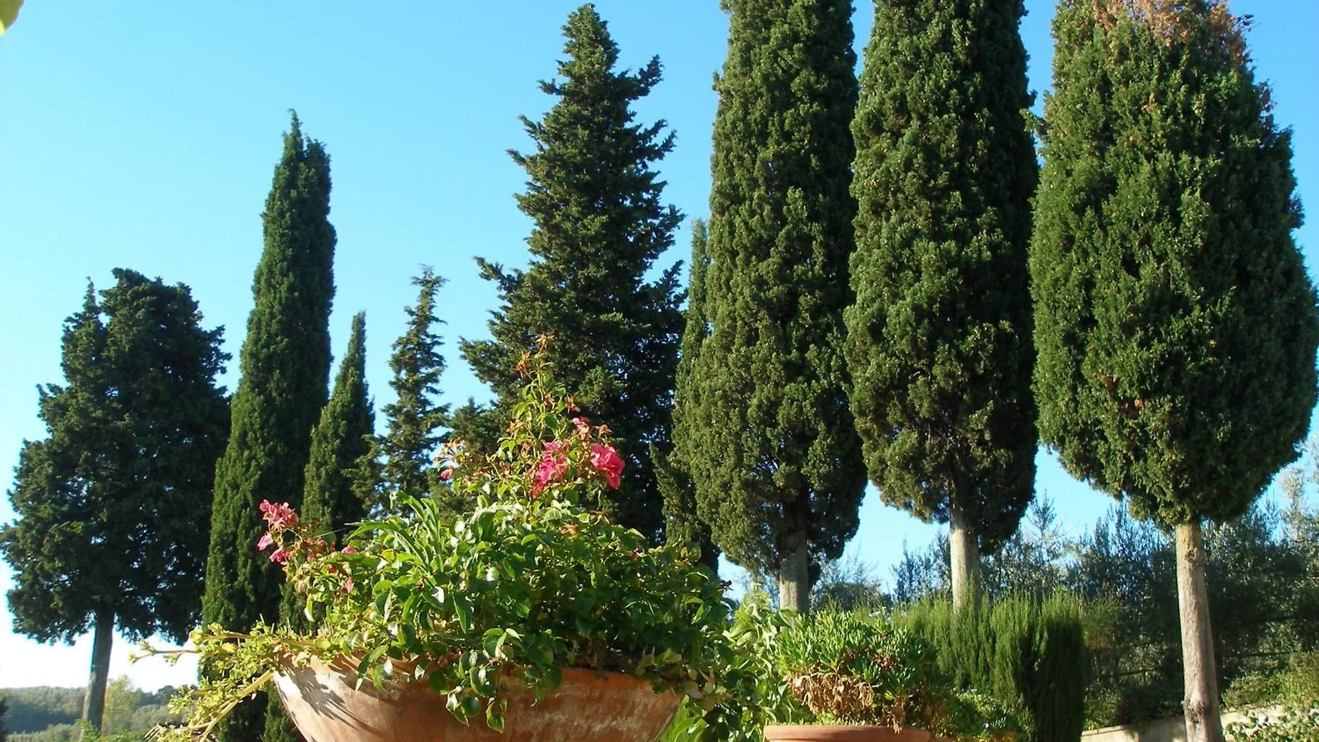 Podere Bellavista San Gimignano Country house