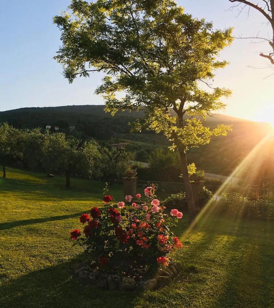 Country house Podere Bellavista San Gimignano