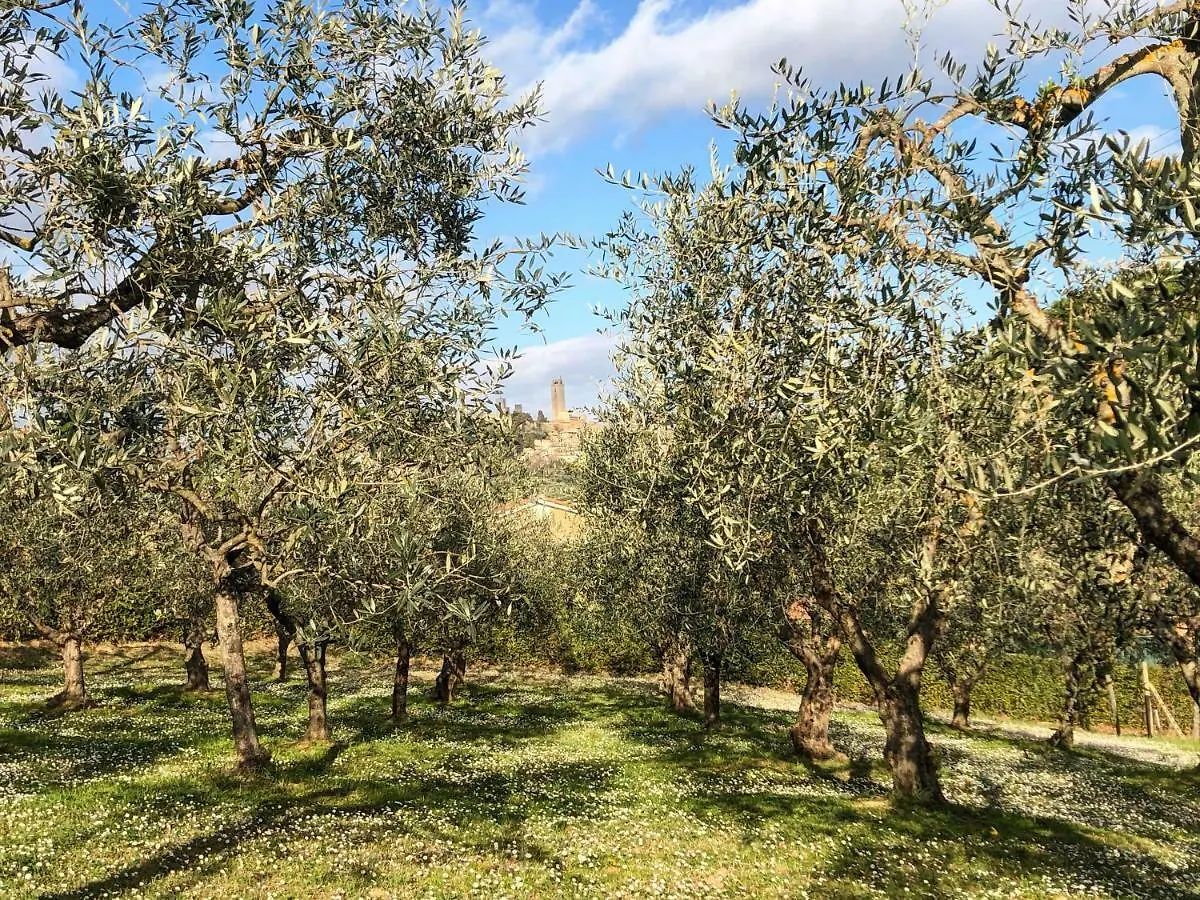 Podere Bellavista San Gimignano Italy