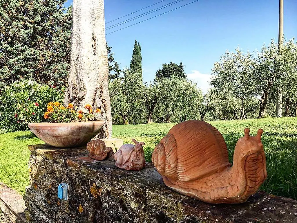 Landsted Podere Bellavista San Gimignano Italien